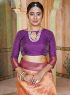 Beige Kanjivaram Silk Saree