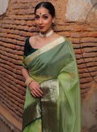 Light Green Organza Saree