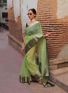 Light Green Organza Saree