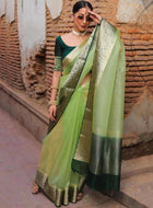 Light Green Organza Saree