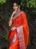 Orange Organza Saree