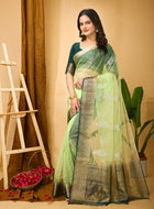 Organza Saree Light Green 