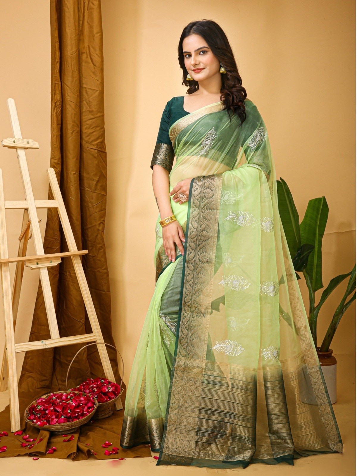 Organza Saree Light Green 
