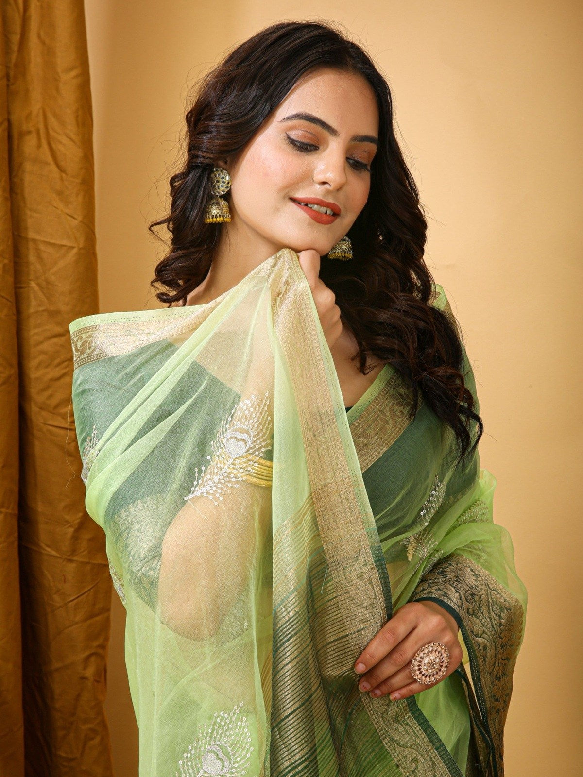 Organza Saree Light Green 