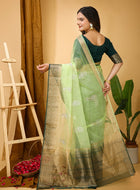 Organza Saree Light Green 