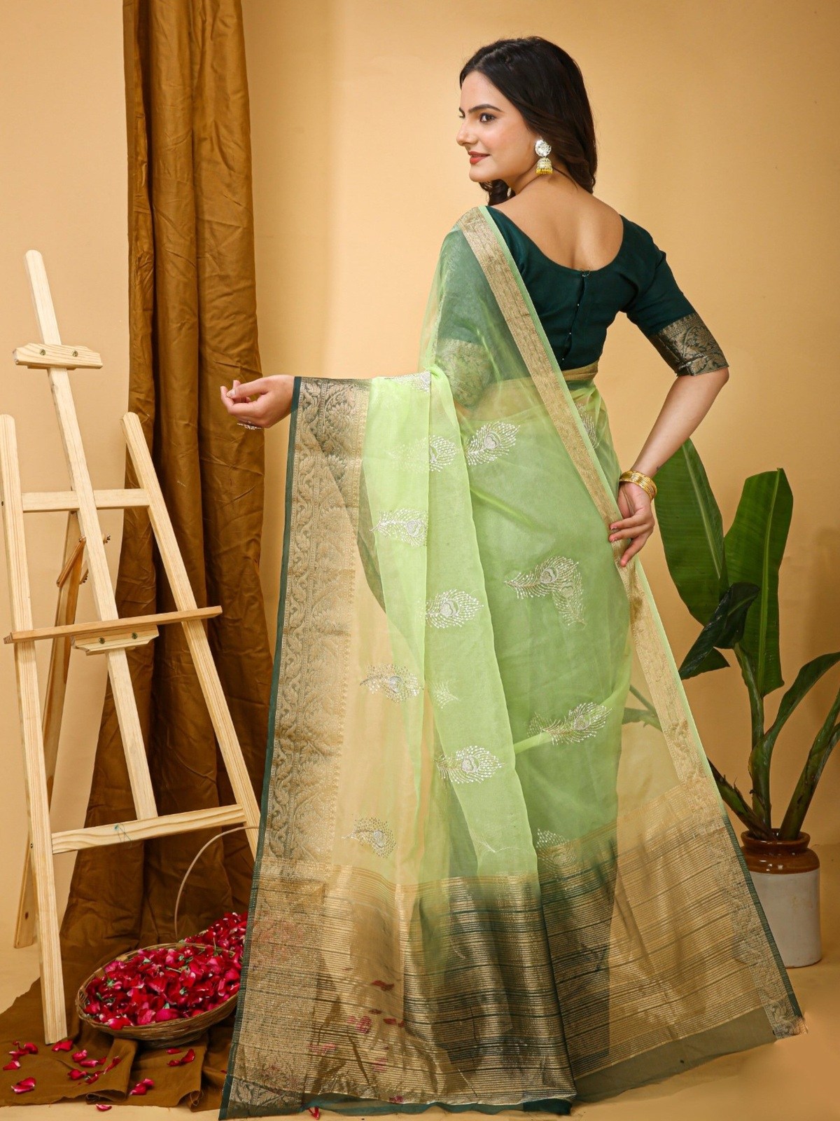 Organza Saree Light Green 