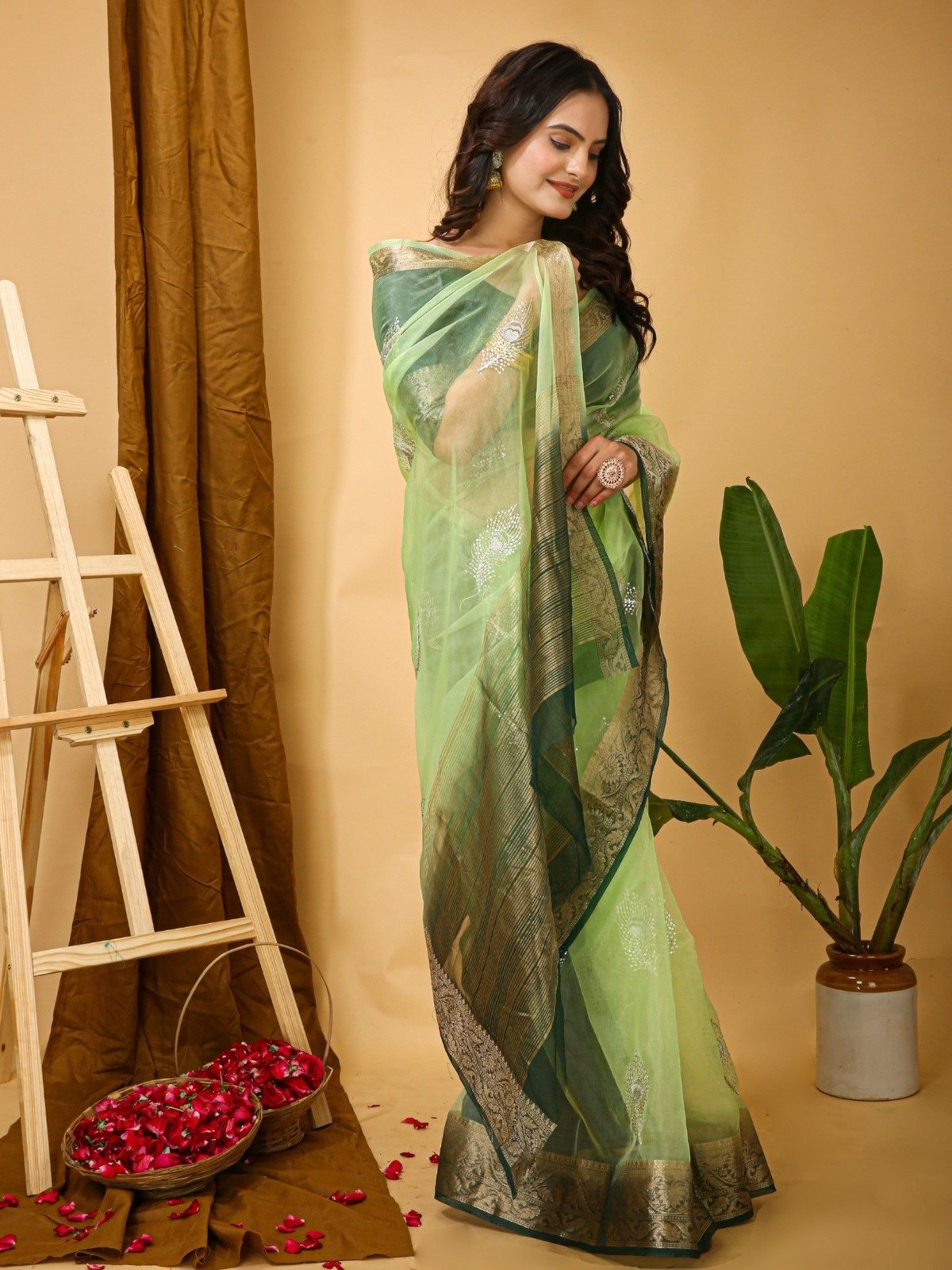 Organza Saree Light Green 