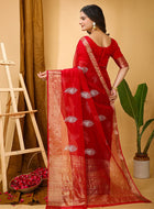 Organza Saree Maroon