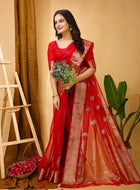 Organza Saree Maroon