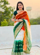 Tiranga Saree