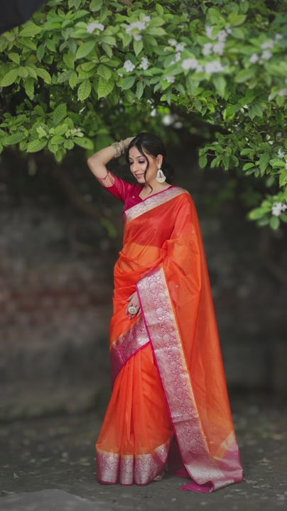 Orange Organza Saree