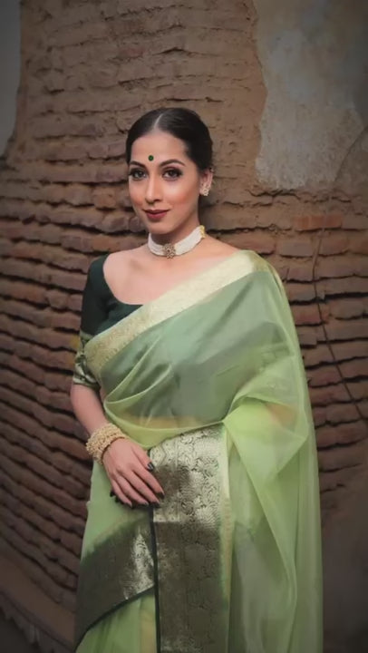 Light Green Organza Saree